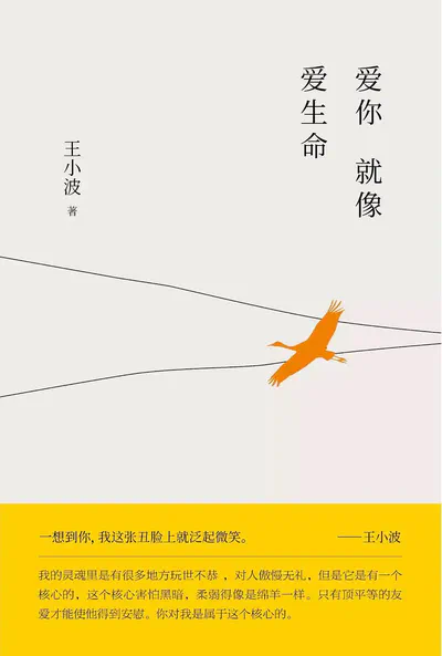 Love You Like Love Life